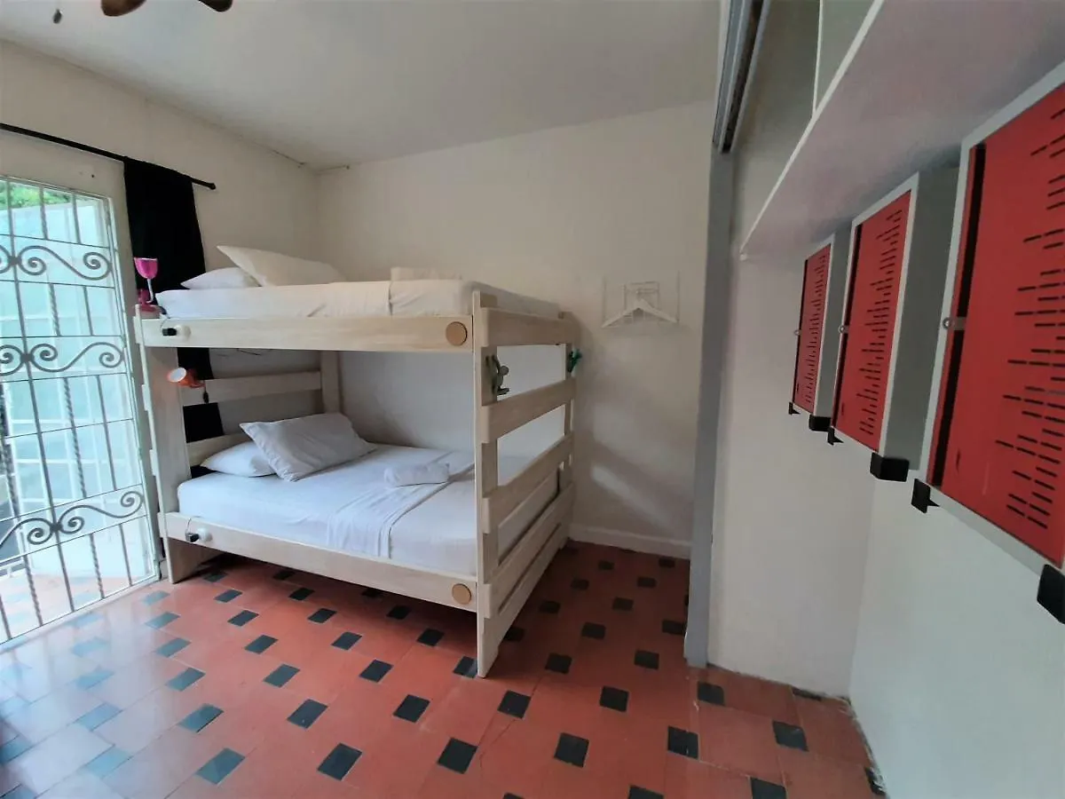 Noah Boutique Hostels Medellín Colombia