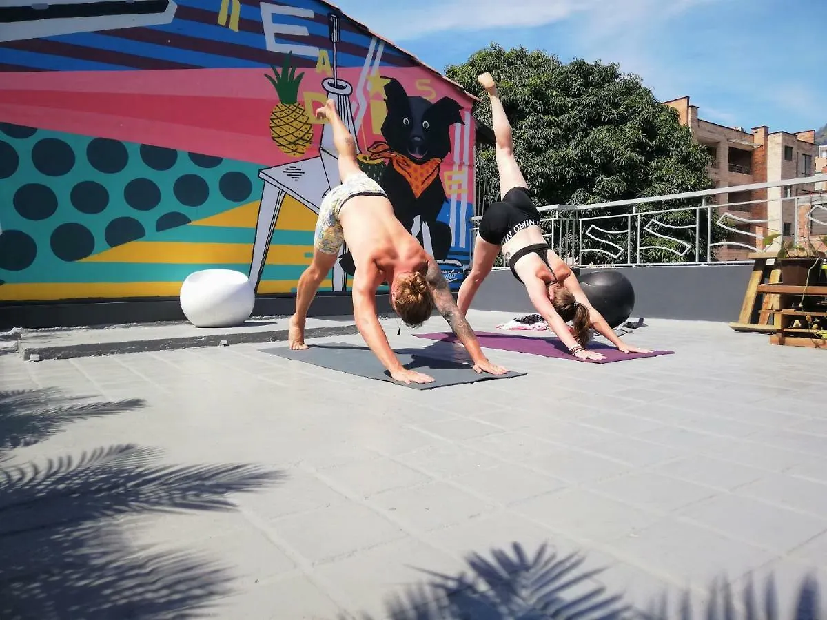 Noah Boutique Hostels Medellin Colombia